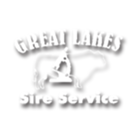 Great Lake Sire Service