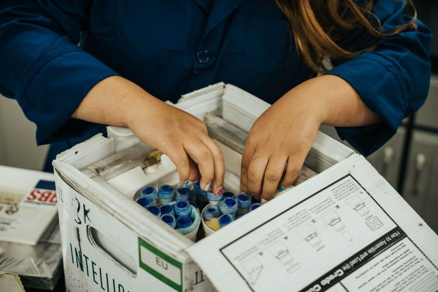Great Lakes Sire Service Employee Preparing Semen for Shipping