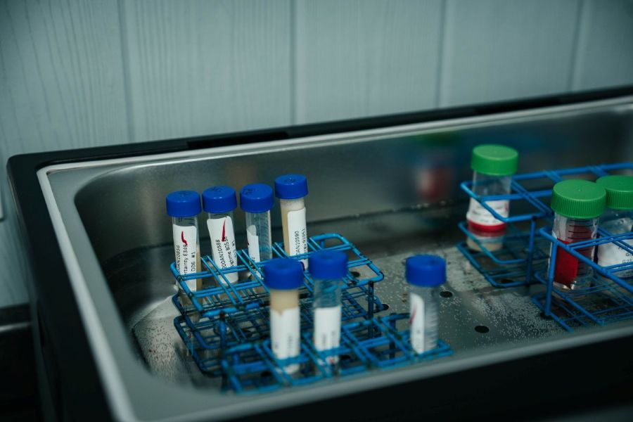 Great Lakes Sire Service Semen Testing Tubes in Lab