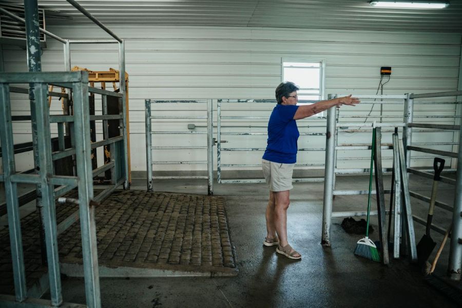 Great Lakes Sire Service Drive Up Collection